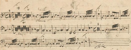 BWV 71 Tamburi