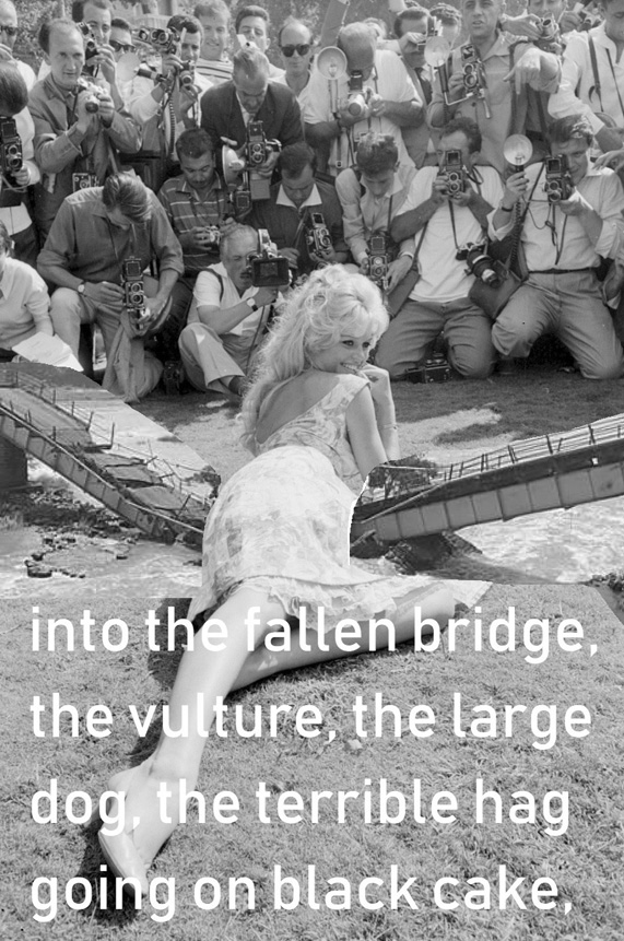 Brigitte Bardo the Bridge
