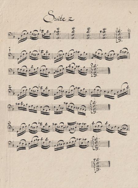 BWV 1008 Second Cello Suite J.S. Bach final chords cadenza